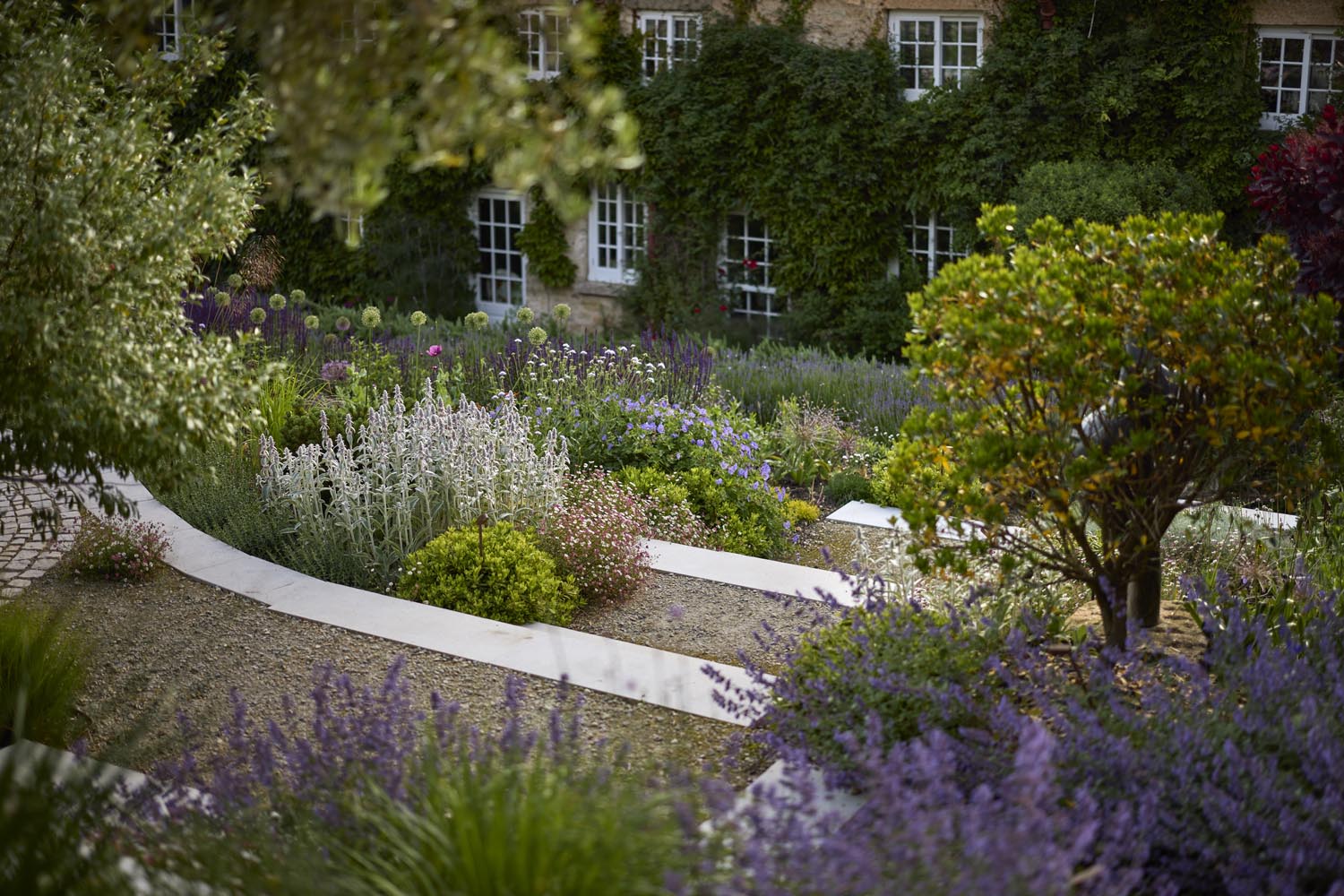 Exposed coastal garden