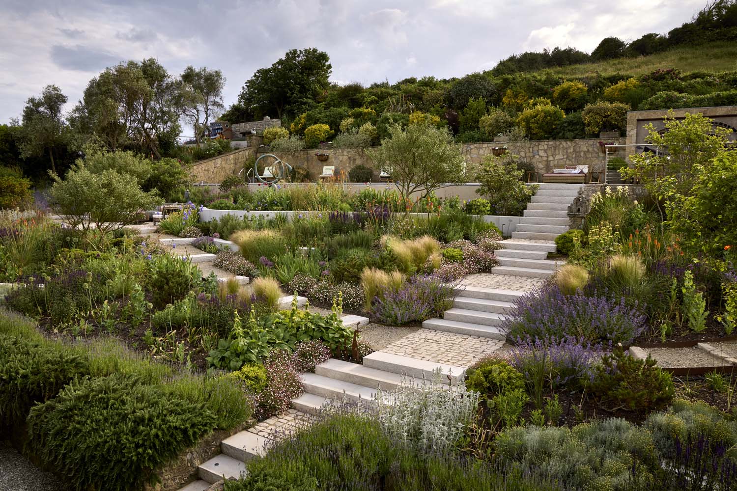 Exposed coastal garden