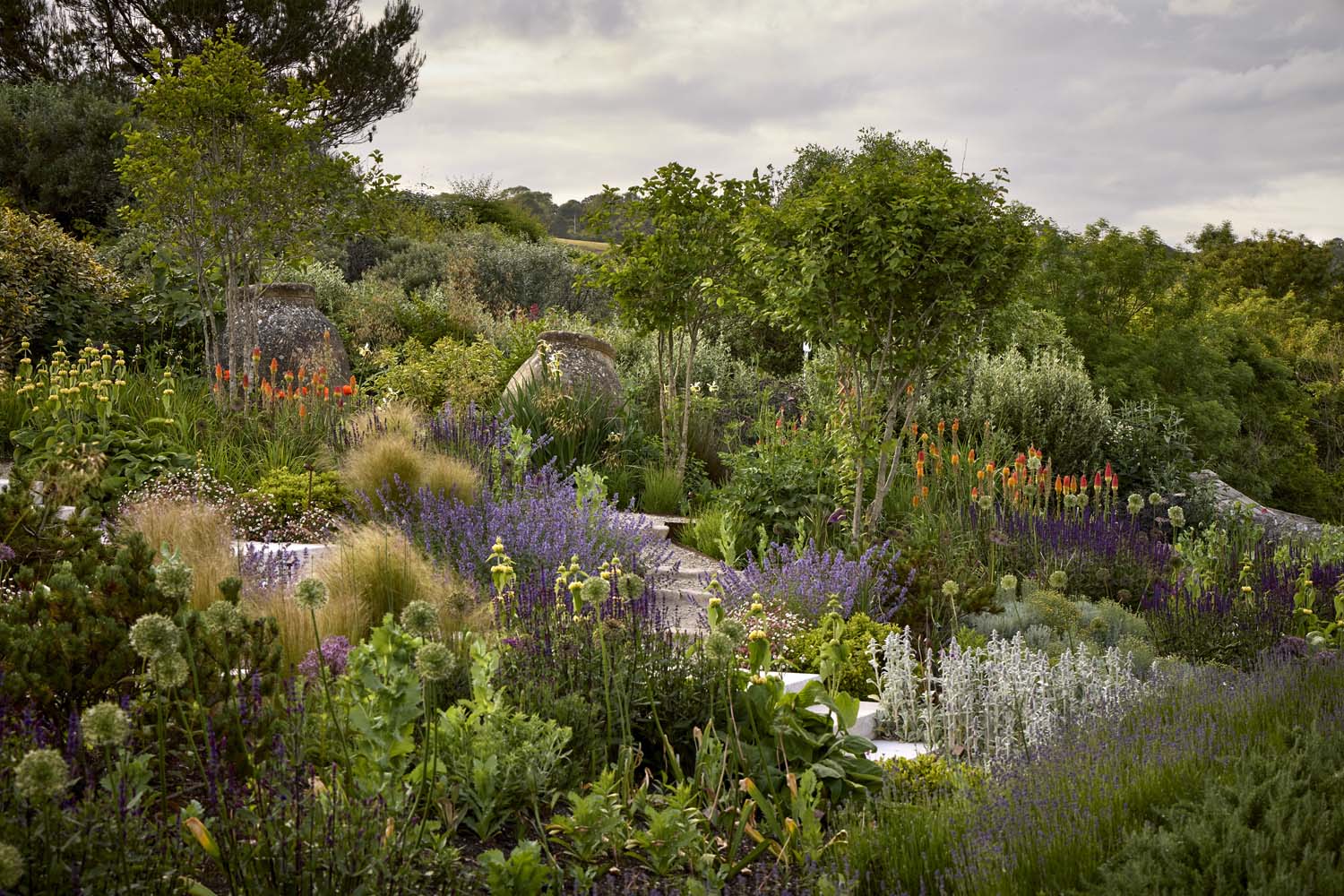 Exposed coastal garden